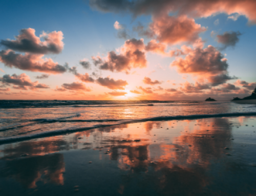 Life After a Crisis Pregnancy: Navigating Post-Decision Emotions