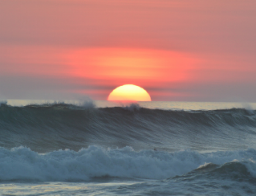 Parenting: Embracing the Journey of Parenthood